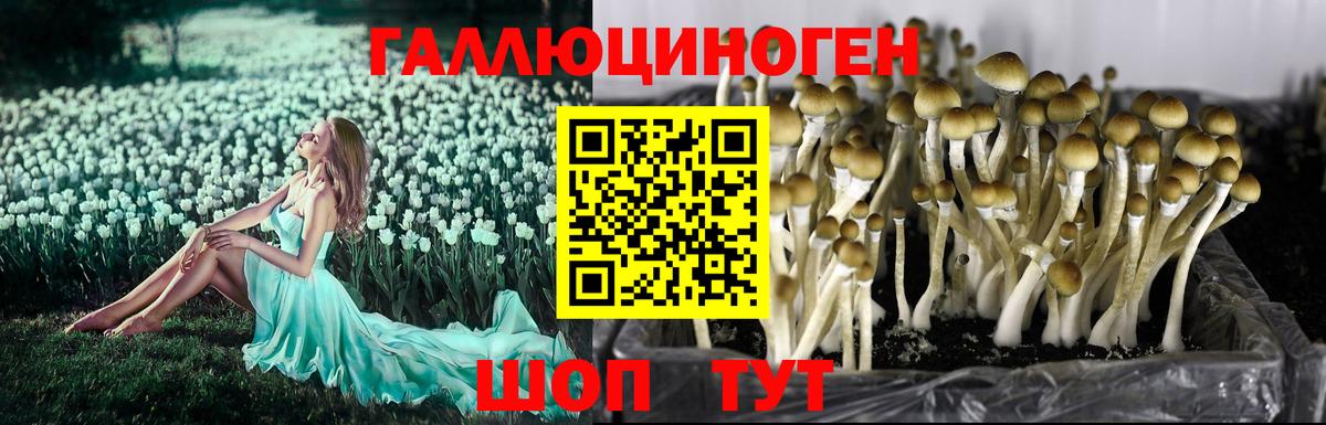 Псилоцибиновые грибы мухоморы  Галлюциногенные грибы Cubensis  Кирово-Чепецк  Вход с VPN 